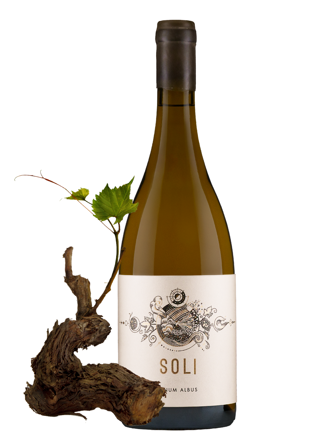 SOLI