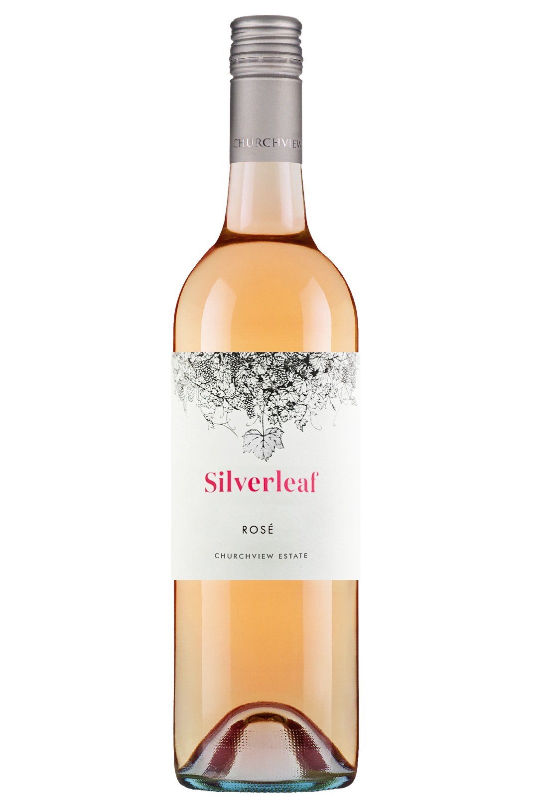 Silverleaf Rose 2025