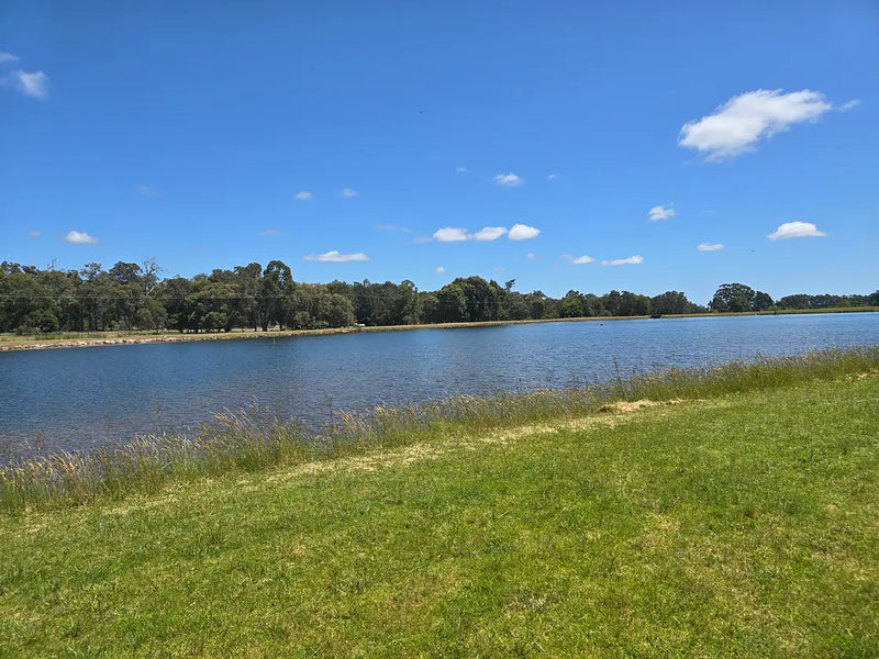 Dam View - Site 5